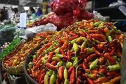 Harga Cabai Merah Turun Drastis, Cabai Rawit Masih Pedas di Kantong