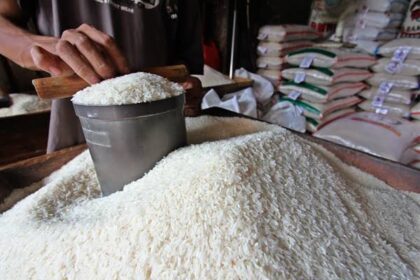 Kenaikan Harga Beras: Pemerintah Berencana Naikkan HET Premium dan Medium Bulan Depan