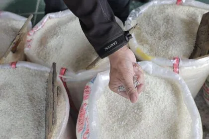 Ancaman Gelombang Panas dan Gangguan Pasokan: Harga Beras di Ambang Kenaikan