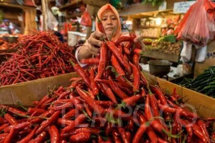 Harga Cabai Merah Keriting Turun, Kabar Gembira di Tengah Stabilitas Harga Bahan Pokok Lainnya