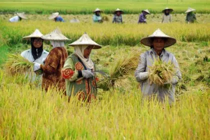 Gegara Sektor Pertanian Ngedrop, RI Gagal Manfaatkan Peluang Emas di Tengah Krisis Pangan Global