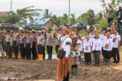 Menteri Pertanian Buka Lahan Rawa 44,7 Ribu Hektare di Merauke untuk Sawah