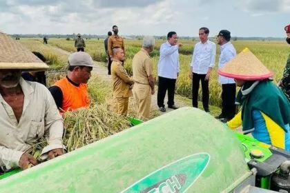Produksi Beras Menurun, Ancaman Bagi Stabilitas Harga dan Ketahanan Pangan Nasional