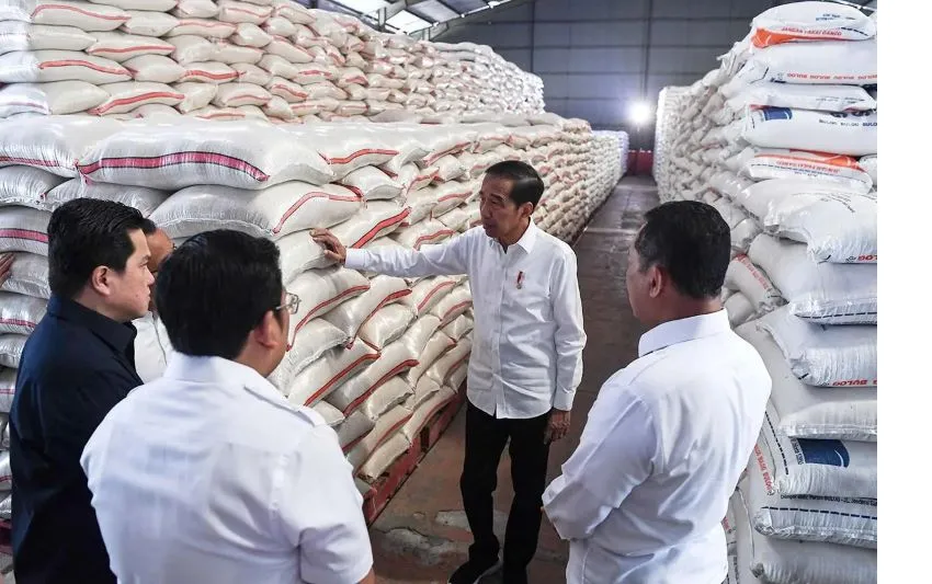 Surplus Beras di Kotim Bakal Dipasok ke IKN: Arahan Penting dari Presiden Jokowi (Ilustrasi)