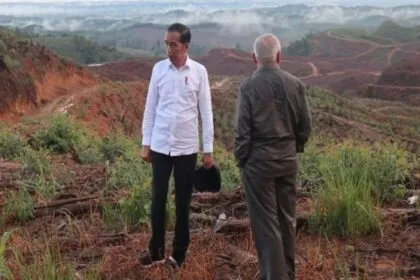 IKN Terancam Mangkrak? Menakar Tantangan dan Solusi Menuju Masa Depan