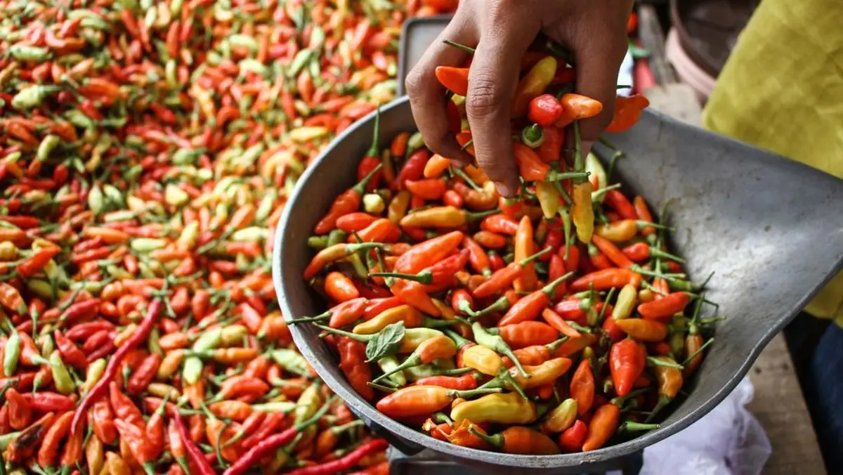Harga Cabai Rawit Tembus Rp50.000 per Kg: Tantangan Ekonomi dan Imbauan untuk Ketahanan Pangan (Ilustrasi)