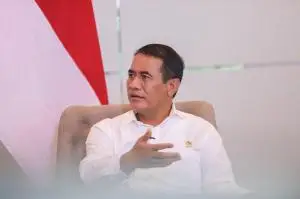 Mentan Amran Blak-blakan: 10 Biang Kerok yang Membuat Produksi Padi RI Turun (Ilustrasi)