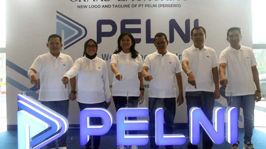 Pelni Ajukan PMN Rp500 Miliar untuk Ganti Kapal Usang: Menuju Layanan Pelayaran Nasional yang Lebih Nyaman dan Aman (Ilustrasi)